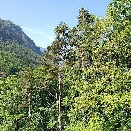Ferienwohnung Zeno Am Schroffen 1 Appartamento Bad Reichenhall